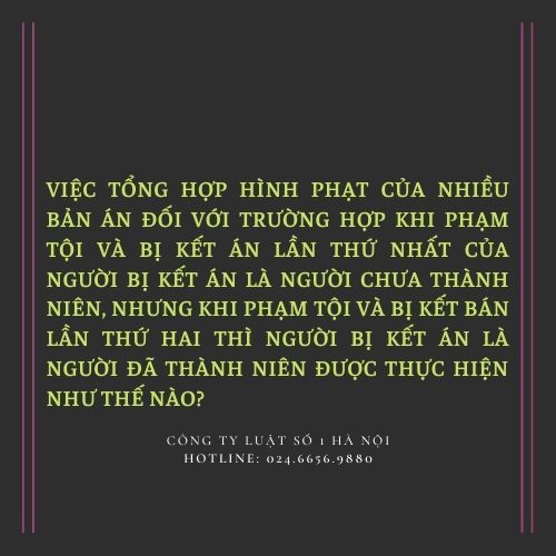 tổng hợp hình phạt